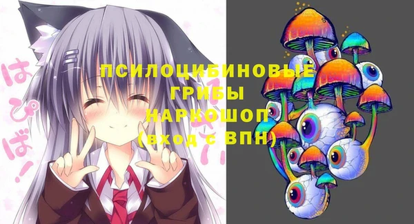 спиды Алзамай