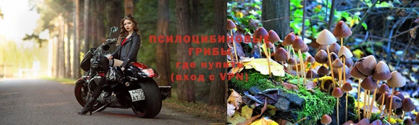 скорость Алексеевка