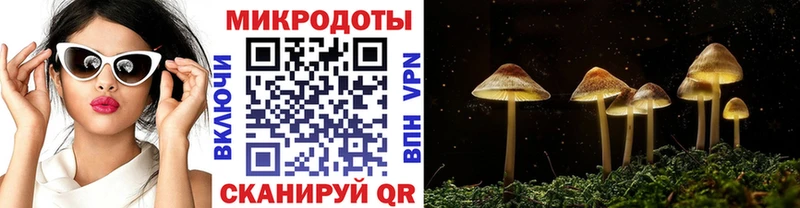 МЕГА ТОР Навашино Псилоцибиновые грибы Magic Shrooms